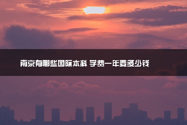 南京有哪些国际本科 学费一年要多少钱