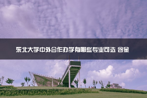 东北大学中外合作办学有哪些专业可选 含金量高吗