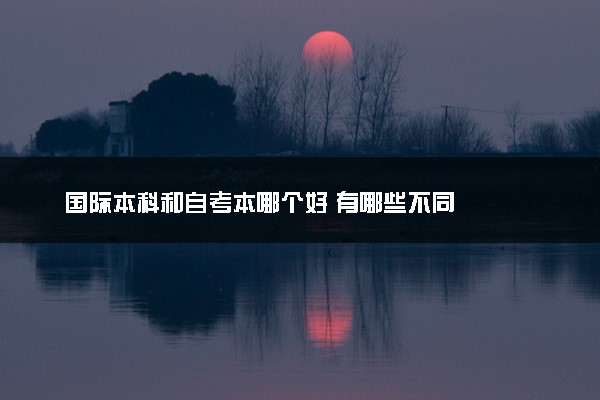 国际本科和自考本哪个好 有哪些不同