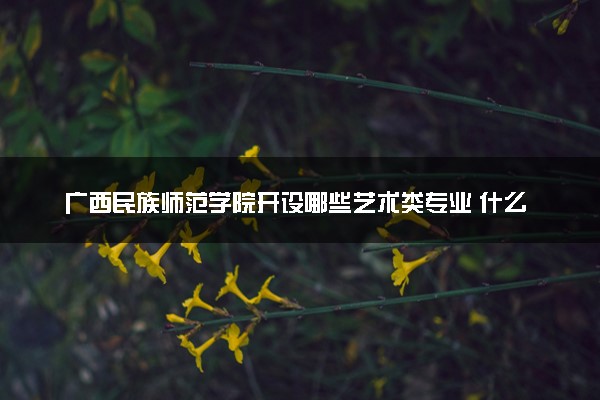 广西民族师范学院开设哪些艺术类专业 什么专业前景好
