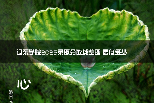 辽东学院2025录取分数线整理 最低多少分可以考上