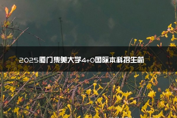 2025厦门集美大学4+0国际本科招生简章 需要哪些条件