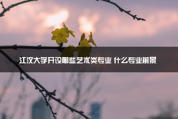 江汉大学开设哪些艺术类专业 什么专业前景好