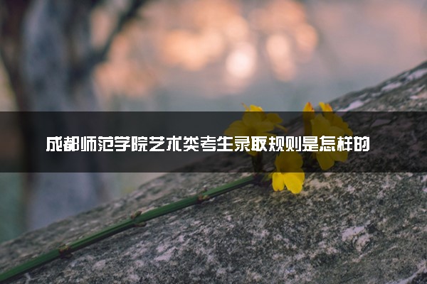 成都师范学院艺术类考生录取规则是怎样的 有哪些要求
