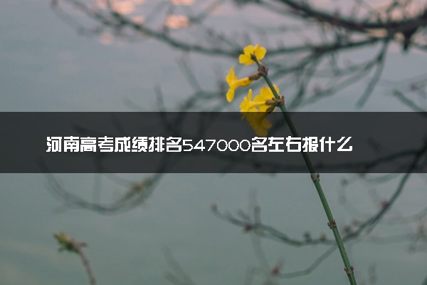 河南高考成绩排名547000名左右报什么大学好（2025年参考）