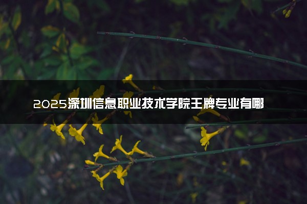 2025深圳信息职业技术学院王牌专业有哪些 最好的专业是什么