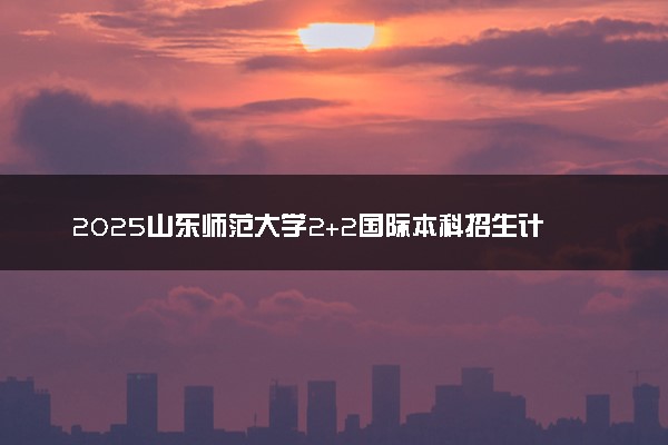 2025山东师范大学2+2国际本科招生计划及录取条件