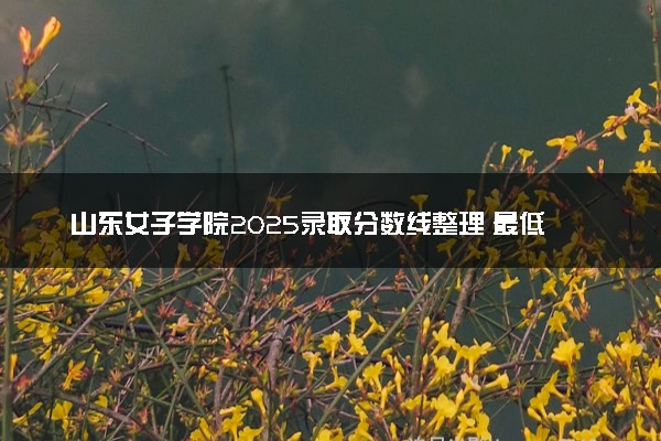 山东女子学院2025录取分数线整理 最低多少分可以考上