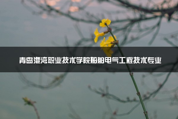 青岛港湾职业技术学院船舶电气工程技术专业怎么样 录取分数线多少