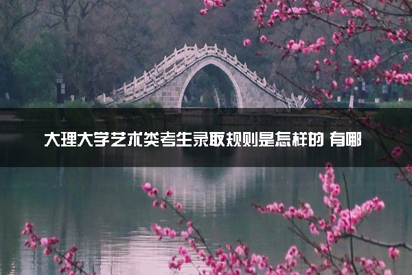 大理大学艺术类考生录取规则是怎样的 有哪些要求
