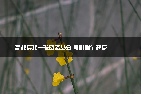 高校专项一般降多少分 有哪些优缺点