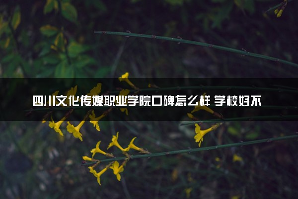 四川文化传媒职业学院口碑怎么样 学校好不好