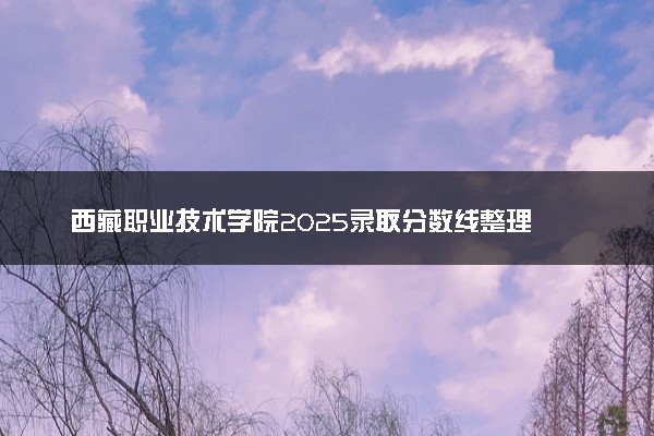 西藏职业技术学院2025录取分数线整理 最低多少分可以考上