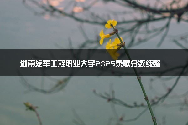湖南汽车工程职业大学2025录取分数线整理 最低多少分可以考上