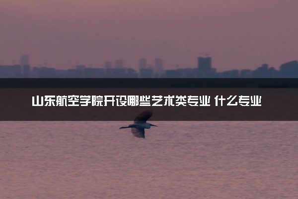 山东航空学院开设哪些艺术类专业 什么专业前景好