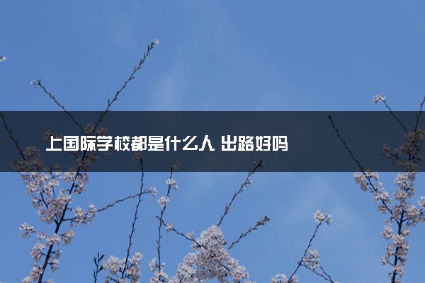 上国际学校都是什么人 出路好吗