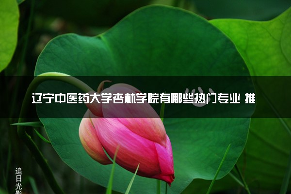 辽宁中医药大学杏林学院有哪些热门专业 推荐的王牌专业