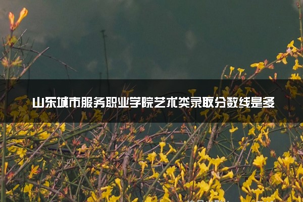山东城市服务职业学院艺术类录取分数线是多少 各省分数整理