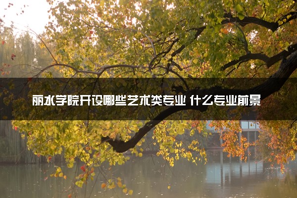 丽水学院开设哪些艺术类专业 什么专业前景好