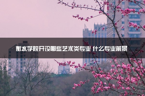 衡水学院开设哪些艺术类专业 什么专业前景好