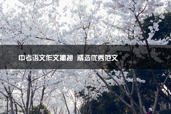 中考语文作文摘抄  精选优秀范文