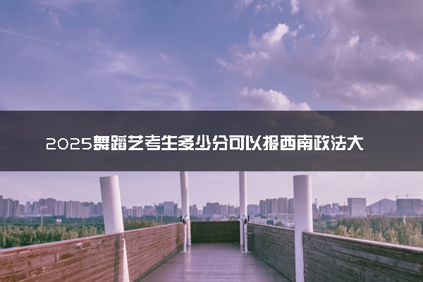 2025舞蹈艺考生多少分可以报西南政法大学