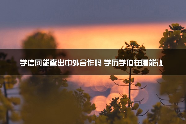 学信网能查出中外合作吗 学历学位在哪能认证