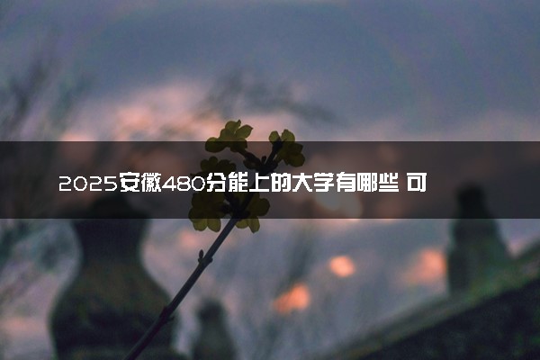 2025安徽480分能上的大学有哪些 可以报考院校名单