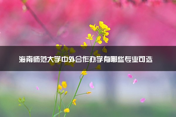 海南师范大学中外合作办学有哪些专业可选 值得报吗
