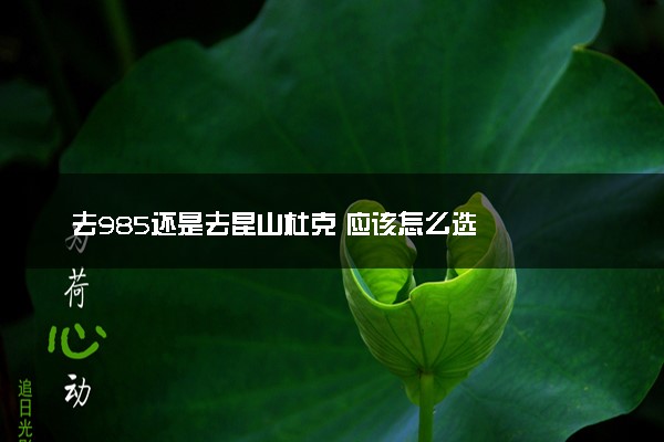 去985还是去昆山杜克 应该怎么选