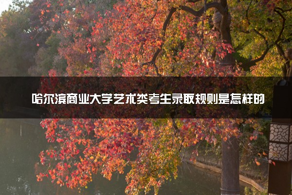哈尔滨商业大学艺术类考生录取规则是怎样的 有哪些要求