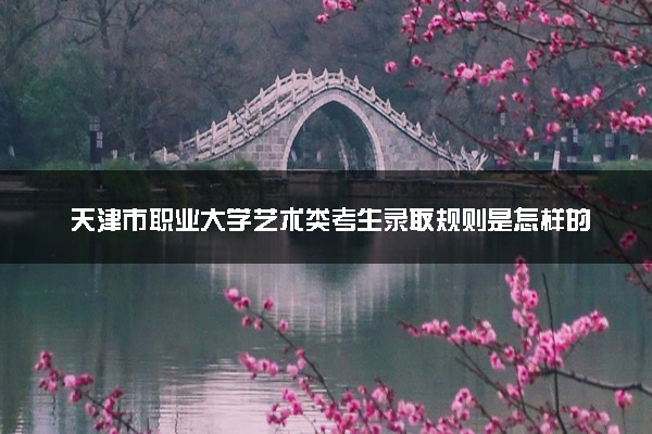 天津市职业大学艺术类考生录取规则是怎样的 有哪些要求