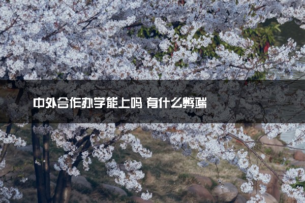 中外合作办学能上吗 有什么弊端