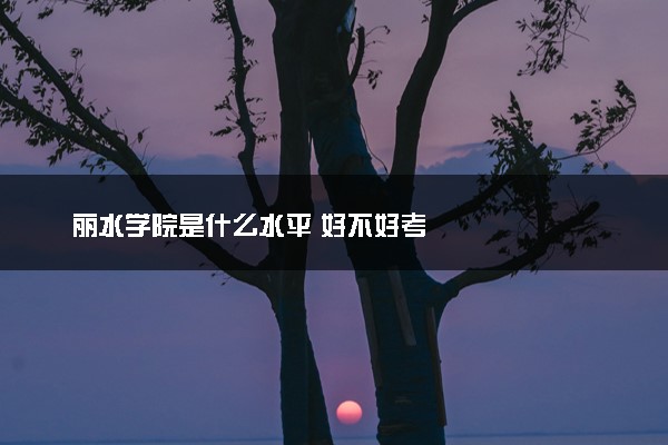 丽水学院是什么水平 好不好考
