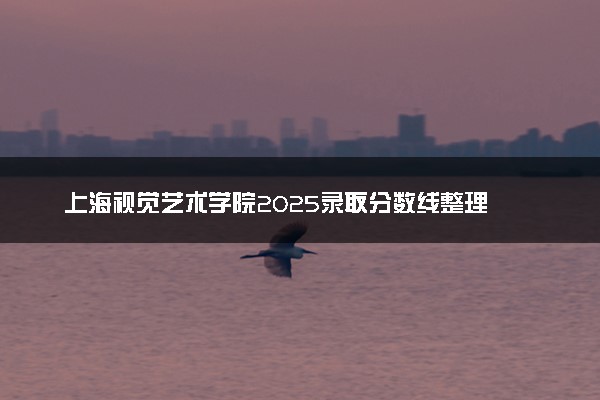 上海视觉艺术学院2025录取分数线整理 最低多少分可以考上