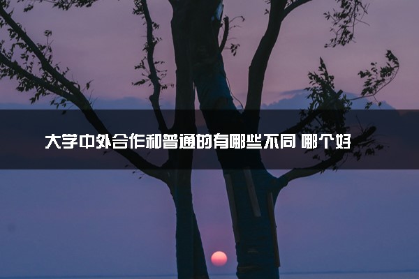 大学中外合作和普通的有哪些不同 哪个好