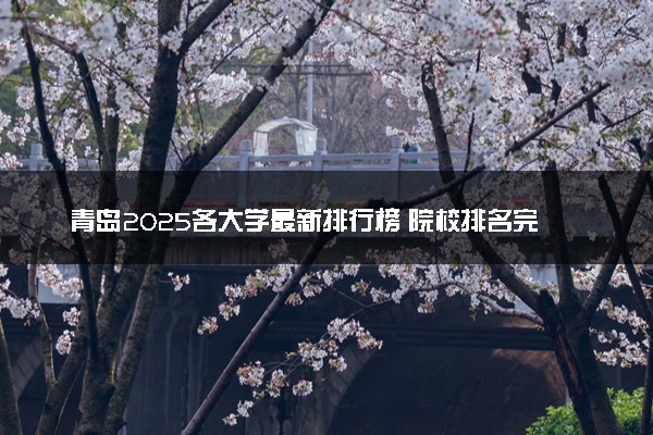 青岛2025各大学最新排行榜 院校排名完整版