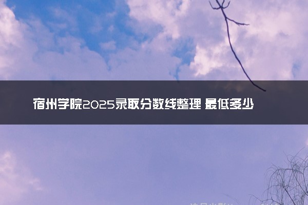 宿州学院2025录取分数线整理 最低多少分可以考上