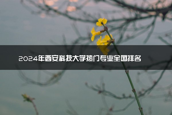 2024年西安科技大学热门专业全国排名 有