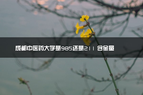 成都中医药大学是985还是211 含金量怎么样