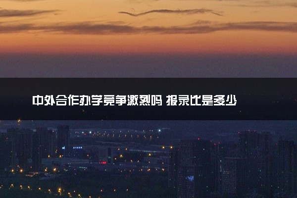 中外合作办学竞争激烈吗 报录比是多少