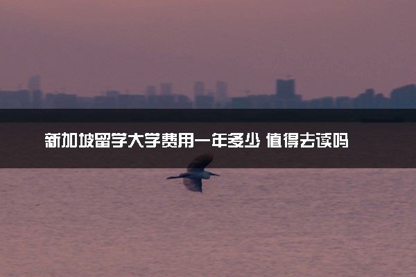 新加坡留学大学费用一年多少 值得去读吗