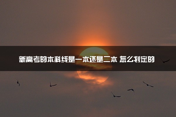 新高考的本科线是一本还是二本 怎么划定的