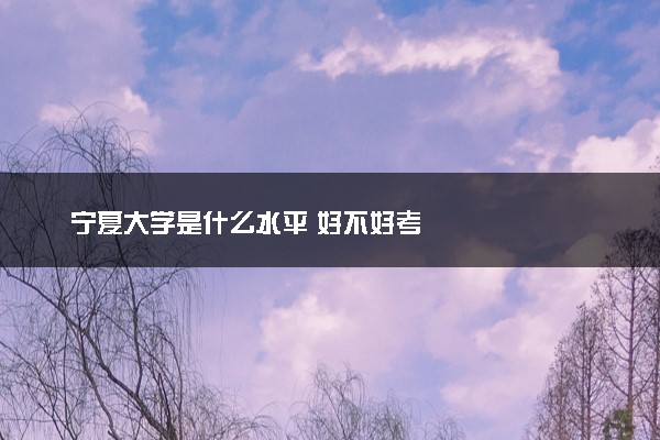 宁夏大学是什么水平 好不好考