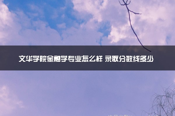 文华学院金融学专业怎么样 录取分数线多少