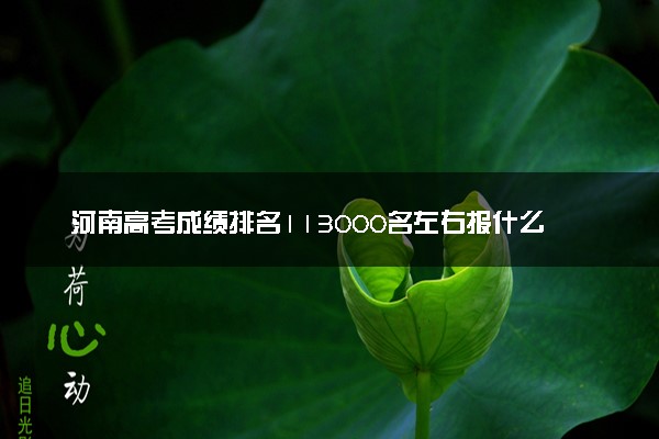 河南高考成绩排名113000名左右报什么大学好（2025年参考）