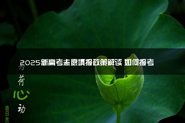 2025新高考志愿填报政策解读 如何报考稳妥