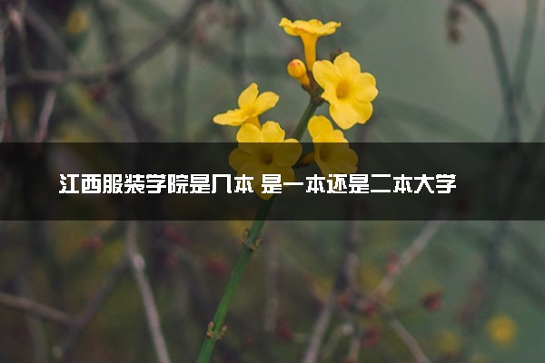 江西服装学院是几本 是一本还是二本大学