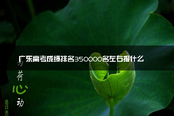 广东高考成绩排名350000名左右报什么大学好（2025年参考）