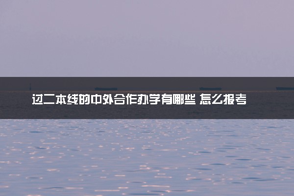 过二本线的中外合作办学有哪些 怎么报考